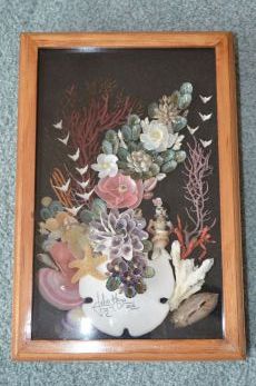 Shell Shadow box