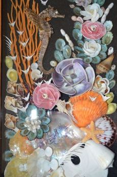 Shell Shadow box