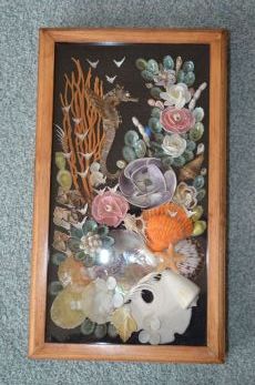 Shell Shadow box