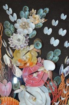 Shell Shadow box