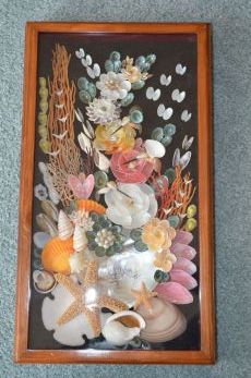 Shell Shadow box